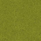 Bond 10 Green