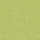 Bond 11 Pistachio