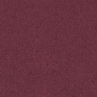Bond 13 Bordo